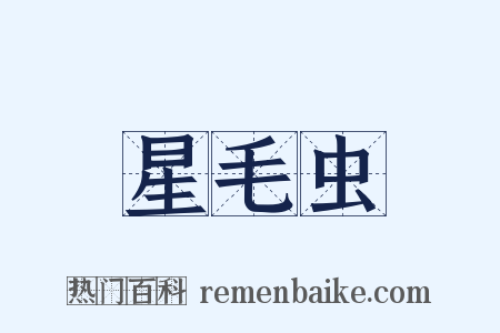 星毛虫是什么意思的图片